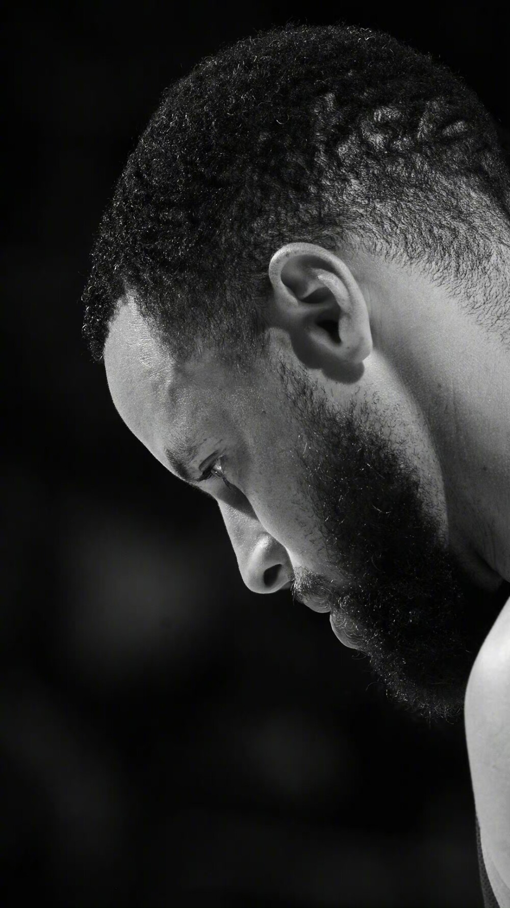 种策略高度 种策略高度