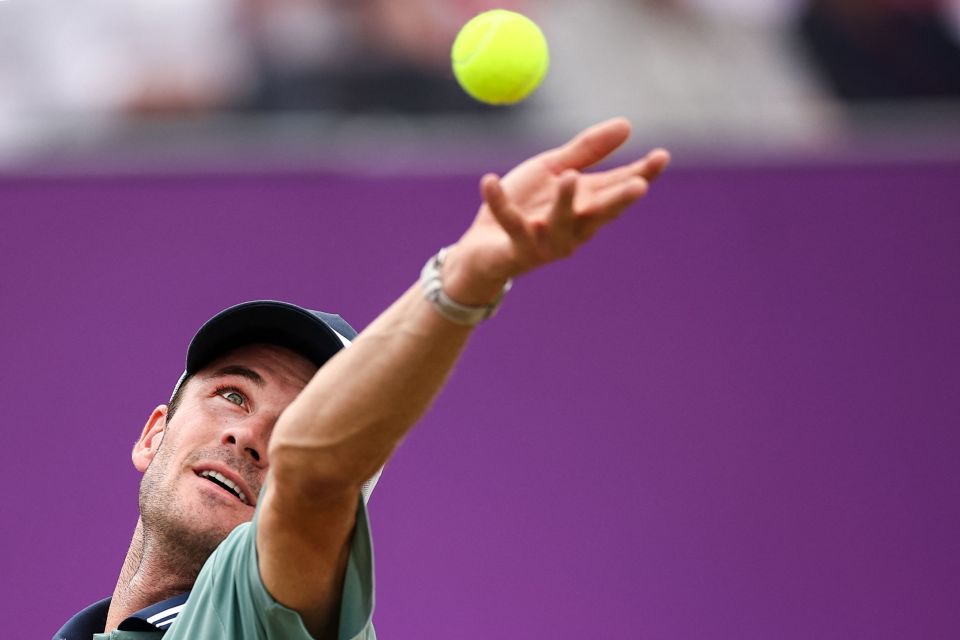 自己的队员 自己的队员