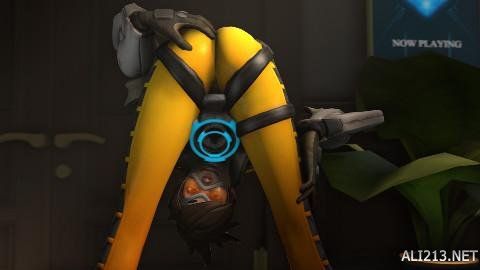 威廉斯自身 威廉斯自身