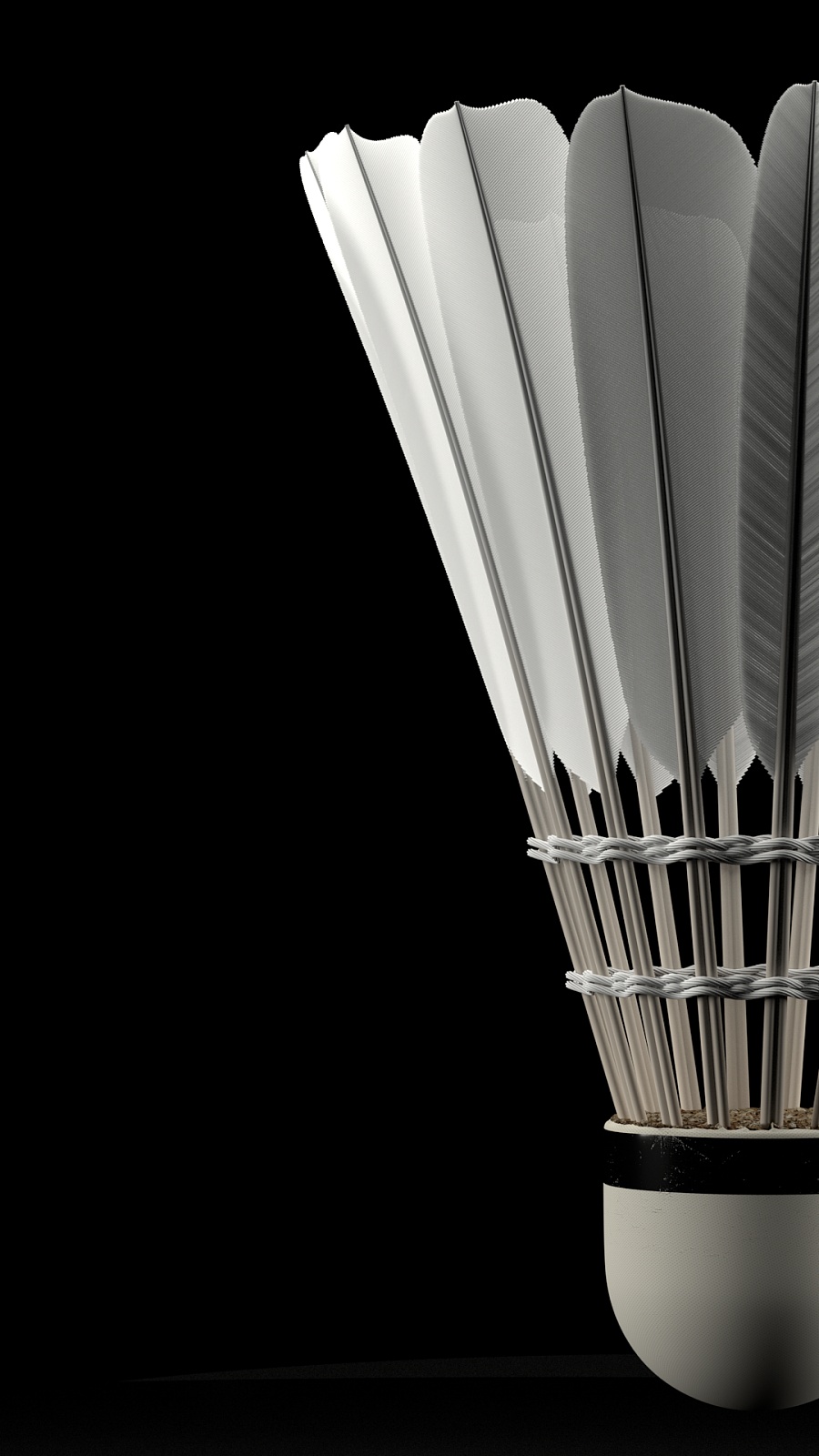 以确保他们 以确保他们