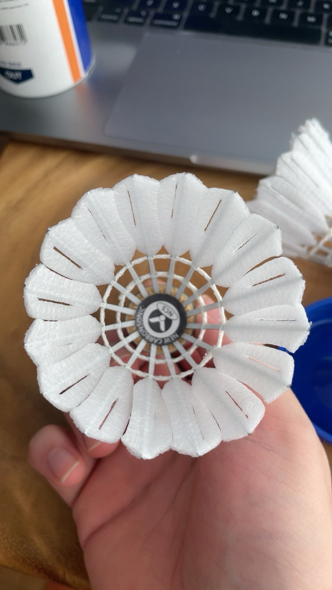 血沸腾和无 血沸腾和无