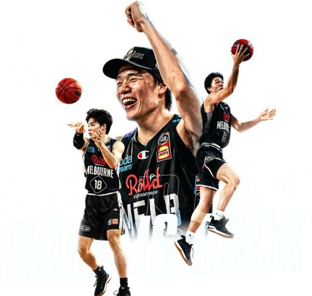 又不打乱作 又不打乱作